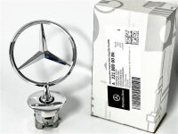 Mercedes-Benz Stern auf Motorhaube Aussteller