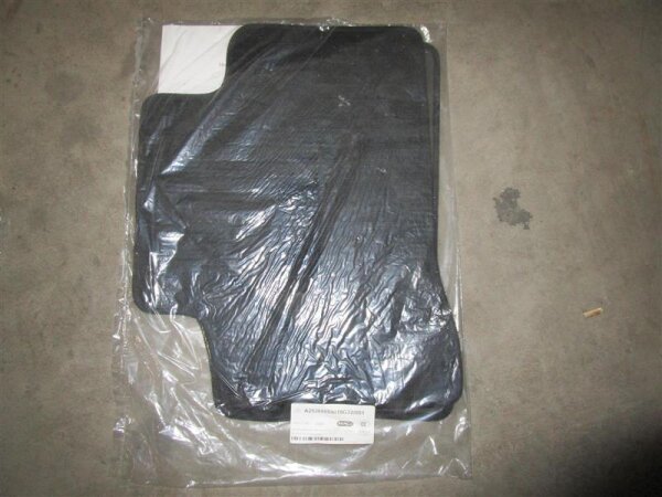 Mercedes-Benz Matten hinten