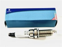 Citroen Peugeot Zündkerzensatz 10x