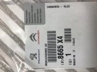 Peugeot Emblem Hintertür Boxer