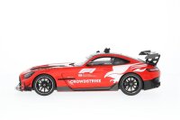 Mercedes-Benz AMG GT Black Series Safety Car Formula 1 rot Minichamps Modell 1:18