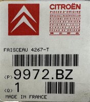 Original Peugeot Citroen Adapter Prüfkabel für Diagnosegerät 4267-T 9972-BZ