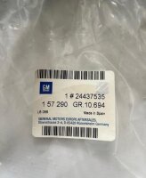 Original Türdichtung Gummidichtung Opel 24437535