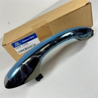 Original Hyundai Santa Fe MK4 Türgriff hinten links außen 83650S1020