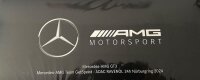 Mercedes-Benz AMG GT3 ADAC RAVENOL 24h Nürburgring 2024 C190