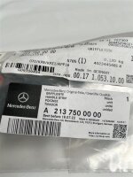 Mercedes-Benz M-Klasse W163 Blende Griffleiste Abdeckung