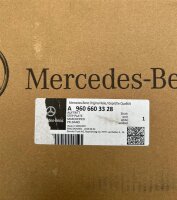 Mercedes-Benz ACTROS MP4 Trittbrett Zusatztrittbretter