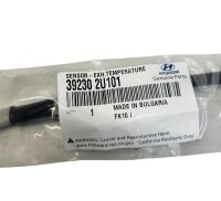 Opel Vivaro Renault Trafic Abgastemperatur Sensor 392302U101