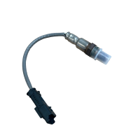 Citroën PSA Lambdasonde Diagnosesonde  9810634380