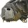 Hella Hauptscheinwerfer Rechts Renault Twingo I II 1E7271.510-361