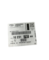 Original PSA Peugeot Citroën Riemenscheibe...