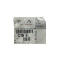 CITROEN 2x BREMSSCHEIBE BELÜFTET VORNE FÜR JUMPER FIAT DUCATO PEUGEOT BOXER 4249H2