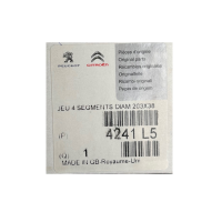 Citroen Bremsbackensatz hinten 4241J1 4241J5 4241L5 4251J5 10040701 4241N9 26260581