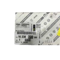 Citroën Peugeot PSA Vorglührelais Relais Steuergerät Glühzeit 1623861380