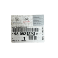 PEUGEOT 2X NK BREMSSCHEIBEN BELÜFTET VORNE PASSEND FÜR CITROËN C4 DS DS