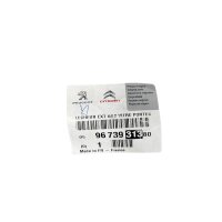 Peugeot Dichtleiste für Türscheibe Zierleiste 9673931380