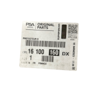 Türschutzleiste hinten rechts chrom 16100160DX