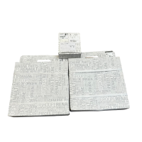 OPEL Bremsen-Set Vorne – 2x Bremsscheiben (Ø 302mm) + Bremsbeläge für Opel Movano B