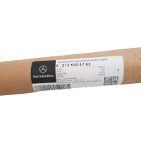 Mercedes-Benz Leiste unten Tür vorne links A2126904762 E W212 NEU