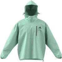 Mercedes-Benz Windbreaker Herren Mercedes-AMG F1 grün