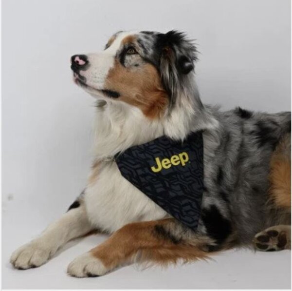Hundehalstuch Bandana Hunde steckverschluss Tarn 6002351698