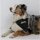 Hundehalstuch Bandana Hunde steckverschluss Tarn 6002351698