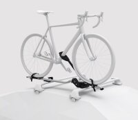 Thule ProRide 598 Aufrechter Dachfahrradträger für ein Fahrrad 598001